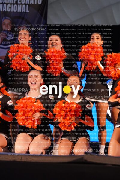 Amn0392