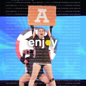 Amn0529