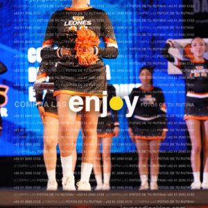 Ams0321