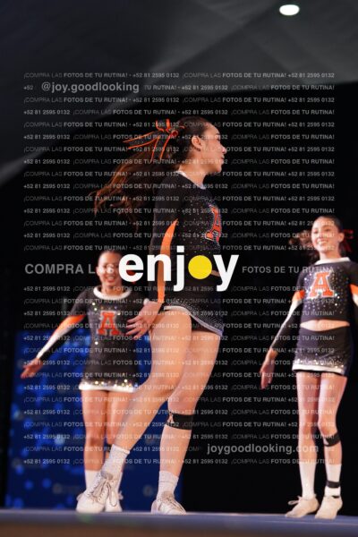 And0493