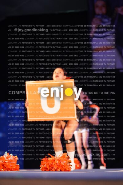 Any0419