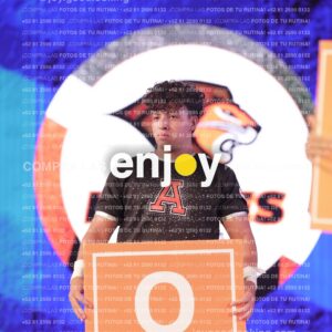 Any0594