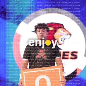 Any0595