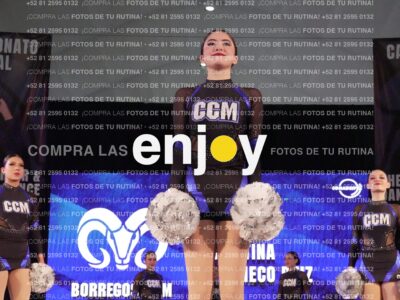 Ccp0207