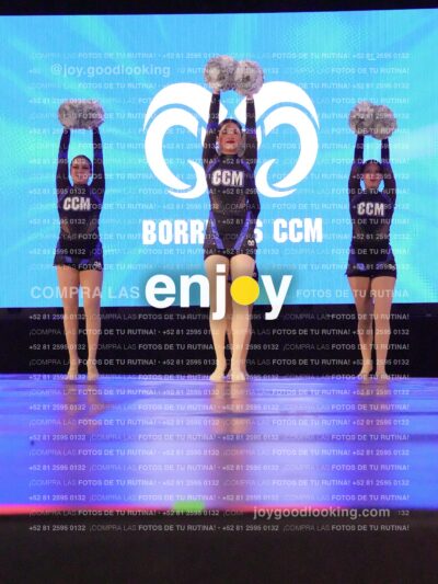 Ccp0232