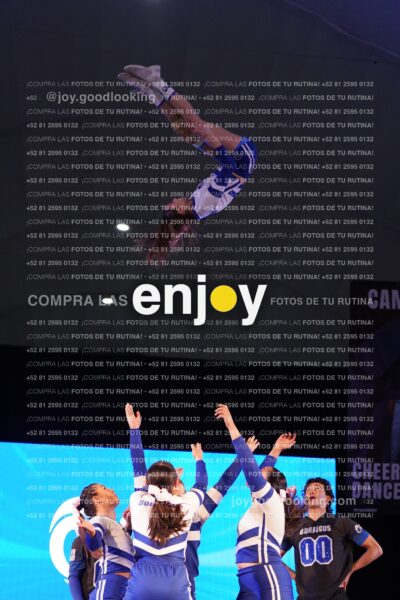 Ccx0195