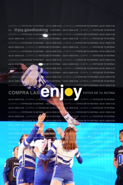 Ccx0249