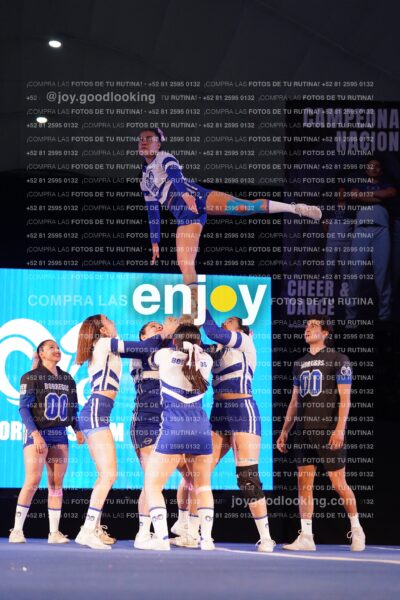 Ccx0283
