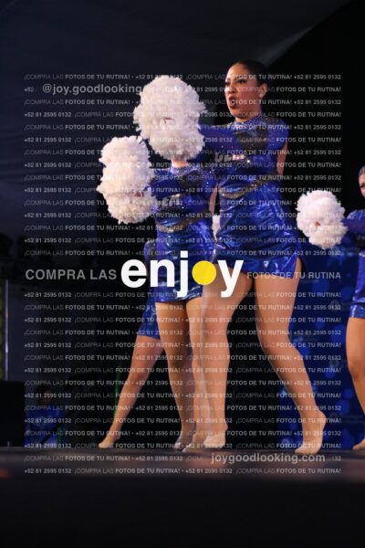 Cmp0291