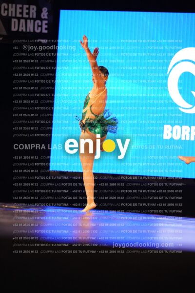 Dsc08747