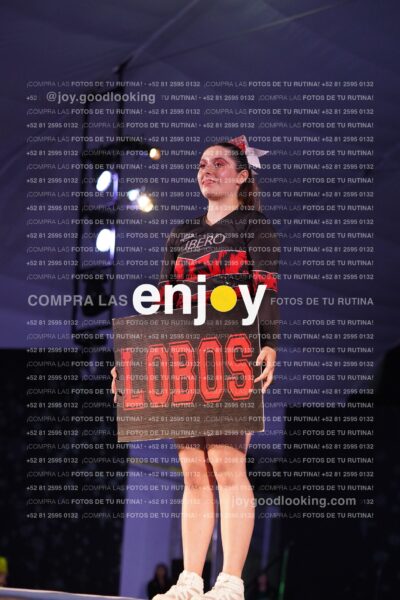 Iby0252
