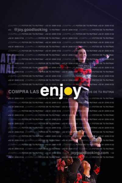 Iby0295