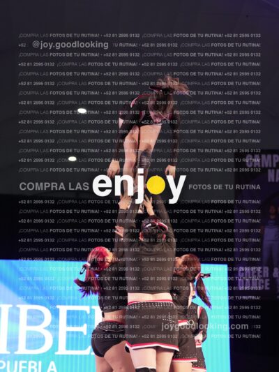 Ipm0355