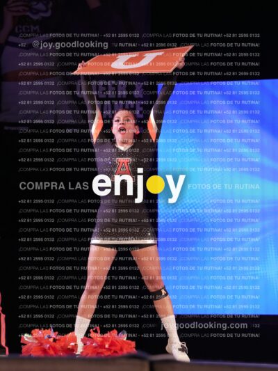 Joy09775