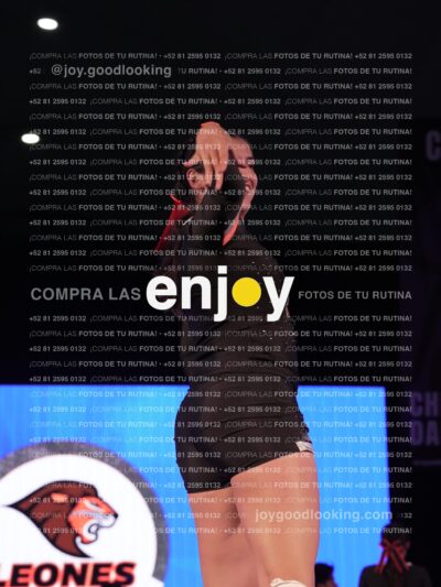 Joy09846