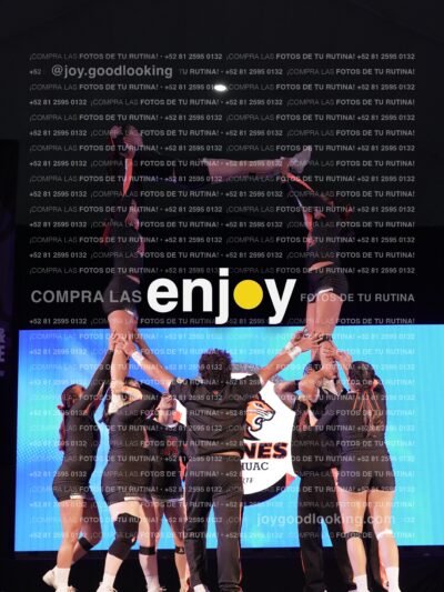 Joy09875
