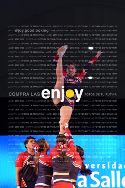 Lsq0131