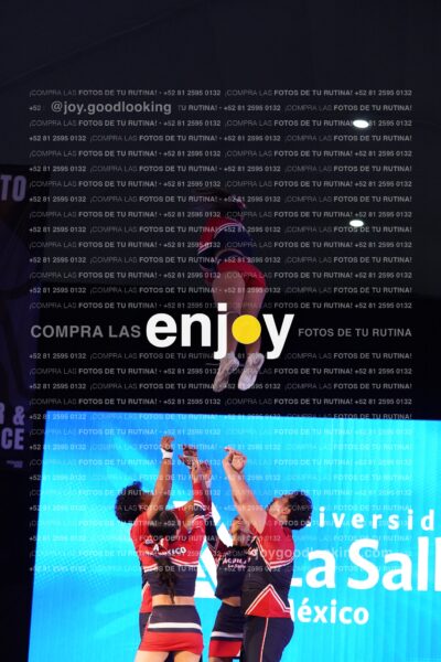 Lsy0367