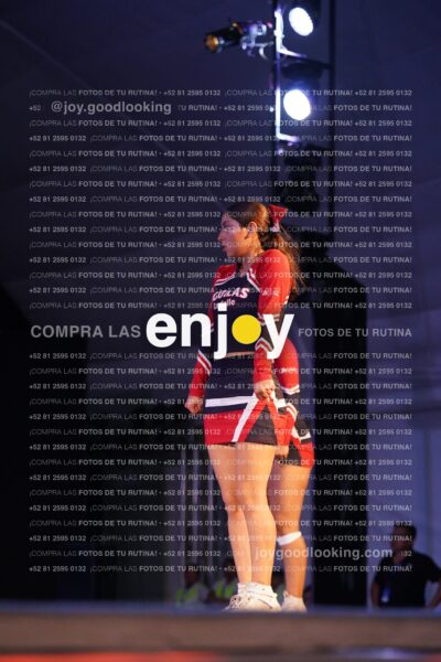 Lsy0387
