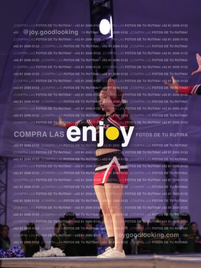 Lsy0463