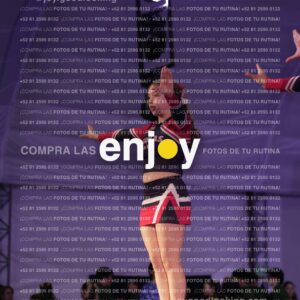 Lsy0463