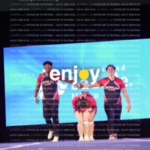 Lsy0482