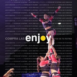 Lsy0497