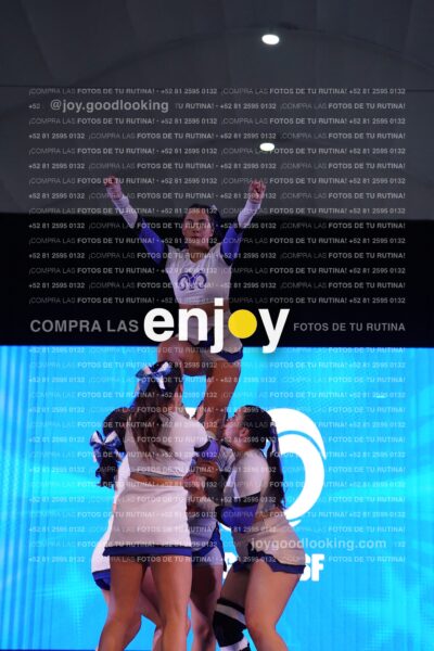 Sfd0479