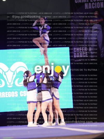 Sfm0667