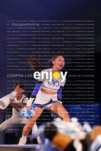 Sfy0290