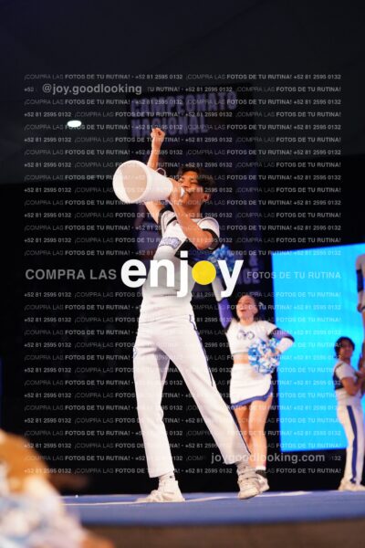 Sfy0293