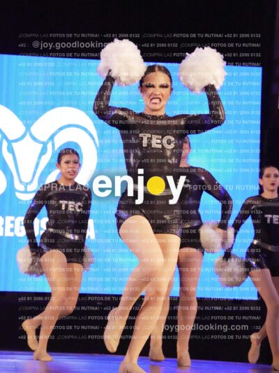 Tcp0290
