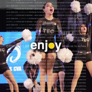 Tcp0384