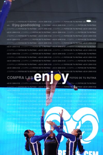 Tem0449