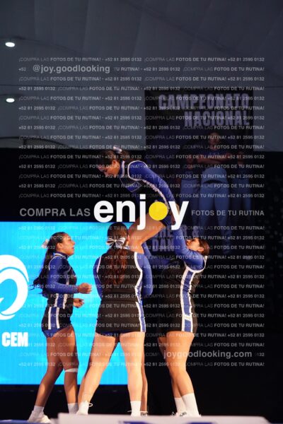 Tem0487