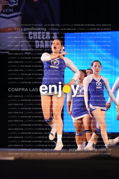 Tmf0617