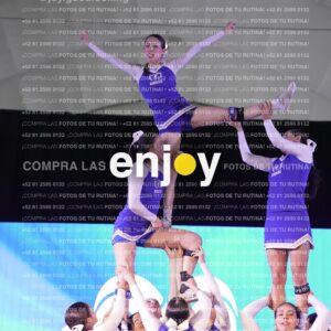 Tmf0781