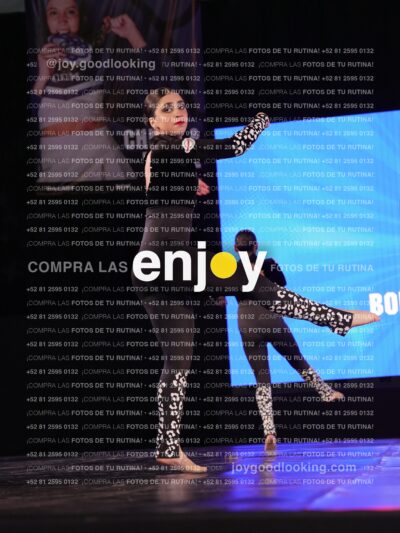 Tmj0411