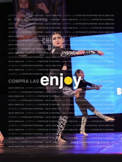 Tmj0412