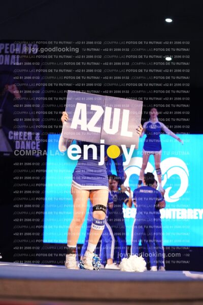 Tmy0365