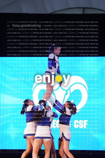 Tsf0403