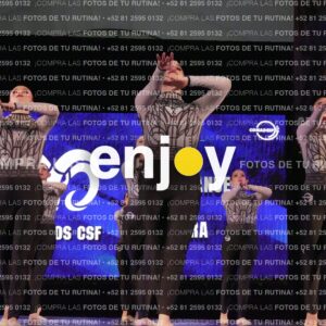 Tsj0233
