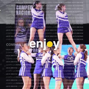 Ttd0530