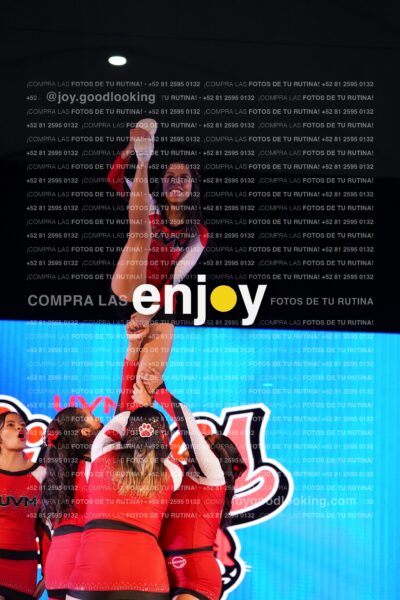 Ucq0133