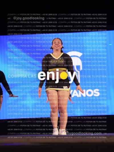Udf0485