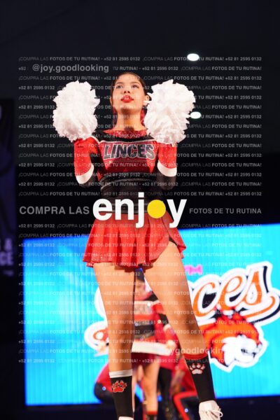 Ugy0211