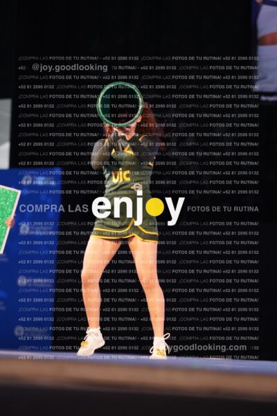 Uic0374