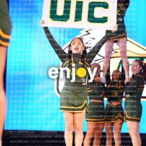 Uic0385