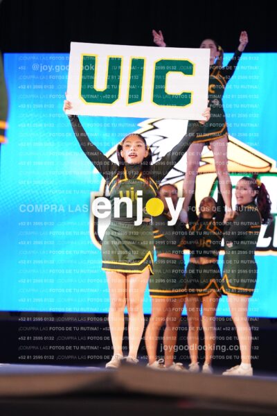 Uic0386