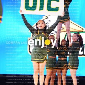 Uic0386